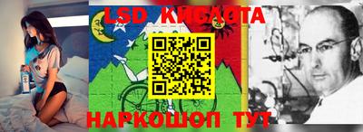 mdpv Камышлов