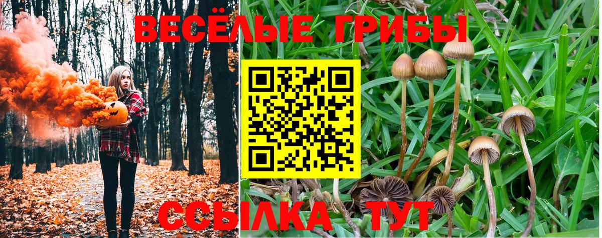 Меф мяу мяу Краснокаменск