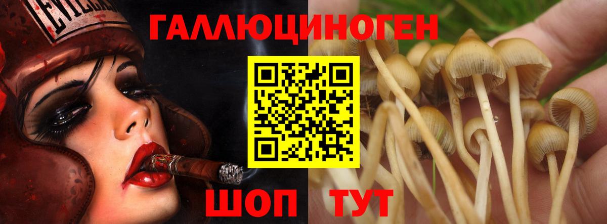 Псилоцибиновые грибы Magic Shrooms  Галлюциногенные грибы Psilocybe  Краснокаменск  Вход с VPN 